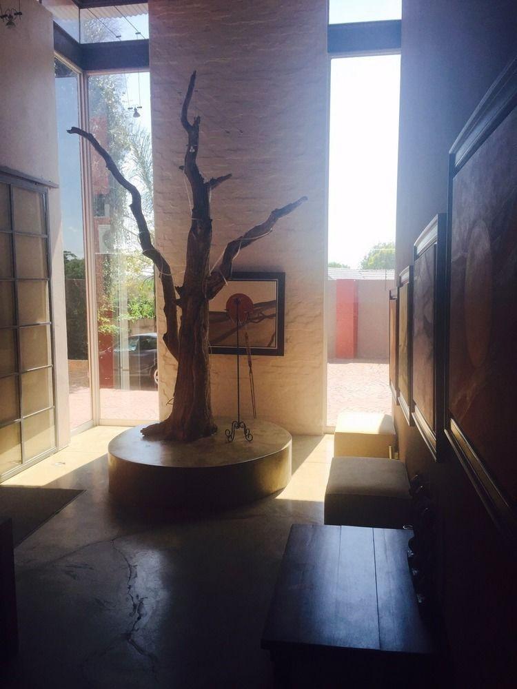 African Moon Corporate House Kempton Park Extérieur photo